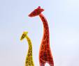 Bettina Eberle Giraffe Joy gelb - rot