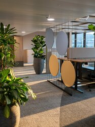 Referenzprojekt Weibel Hess & Partner