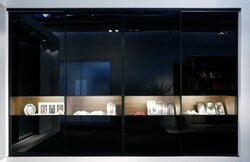 AN Collection - Ars Nova 
