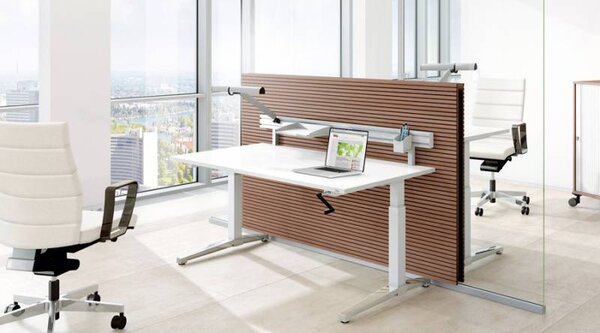 Assmann Canvaro