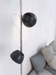 Baltensweiler Irio