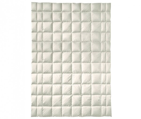 Billerbeck - Organic Wool Arve