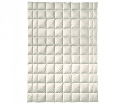 Billerbeck - Organic Wool Arve