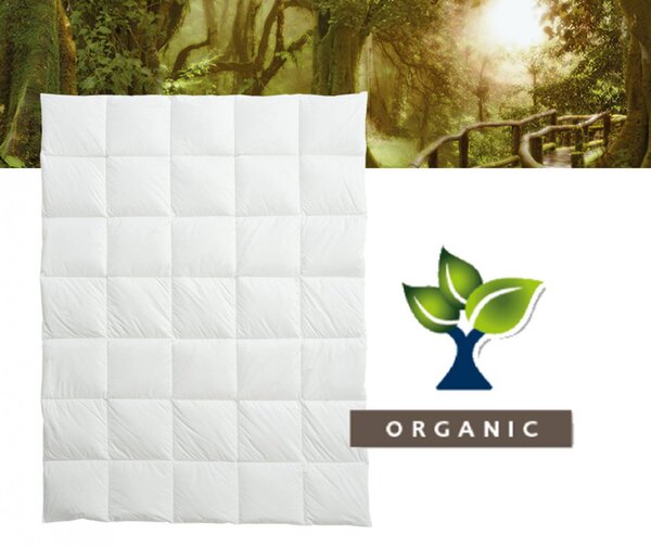 Billerbeck - Organic Goose