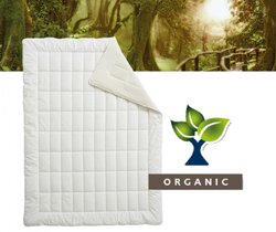 Billerbeck - Organic Lana