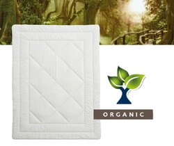 Billerbeck - Organic Wool