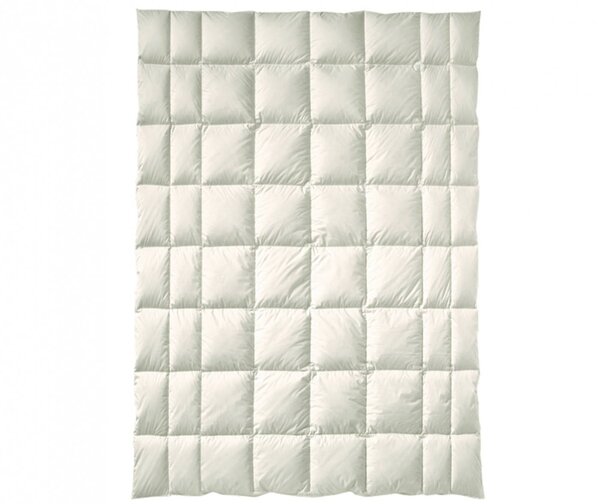 Billerbeck - Organic Wool Arve
