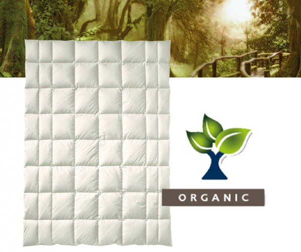 Billerbeck - Organic Wool Arve