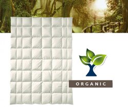 Billerbeck - Organic Wool Arve