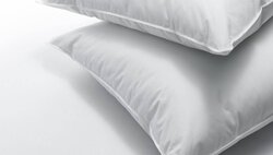 Dauny Soft Plus
