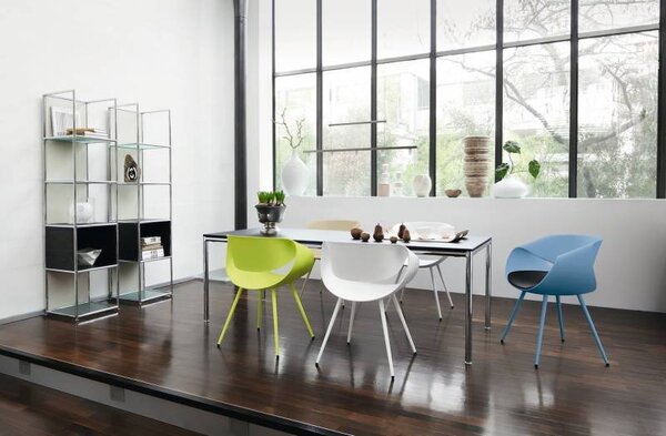 Dauphin Home Little Perillo