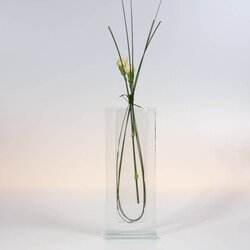 Bettina Eberle Flacon transparent