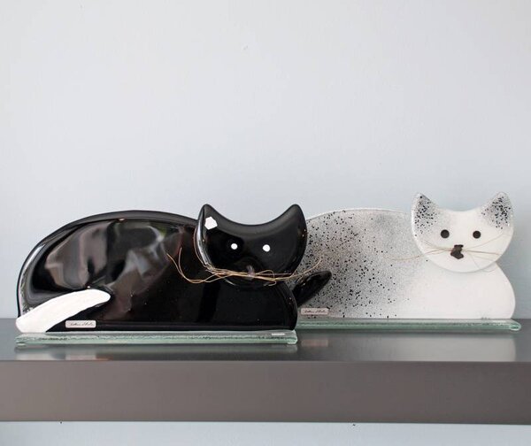 Bettina Eberle Katze Edith schwarz und weiss