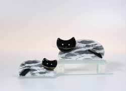 Bettina Eberle Katze Edith getigert
