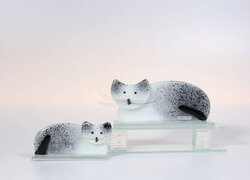 Bettina Eberle Katze Edith grau
