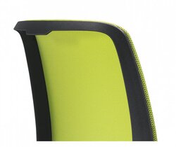 Giroflex 313 - Netzrücken