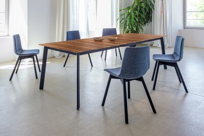 Neuheiten aus unserem Sortiment