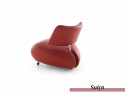 Viva Pallone - Suica