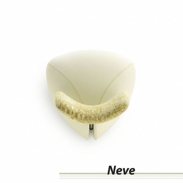 Viva Pallone - Neve