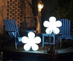 Shining Flower