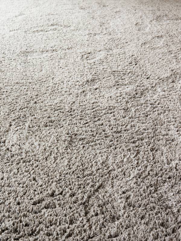 Object Carpet - Teddy