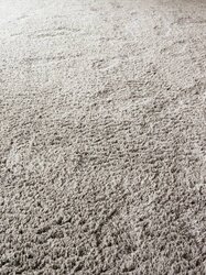 Object Carpet - Teddy