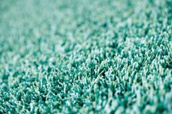 Object Carpet - Rugx - Flash