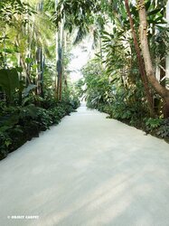 Object Carpet - Facts&Visions Pure