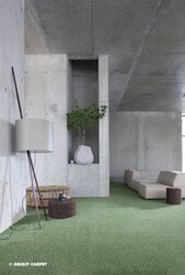 Object Carpet - Facts&Visions Splash