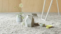 Object Carpet - Teddy