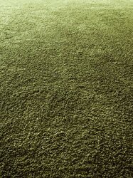 Object Carpet - Frizzle