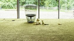 Object Carpet - Frizzle
