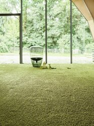 Object Carpet - Frizzle