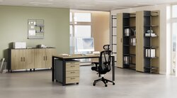 Omlin Window Büromöbel Omlin Window Büromöbel