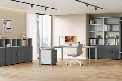 Omlin Window Büromöbel