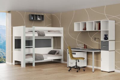 Omlin Window Omlin Window