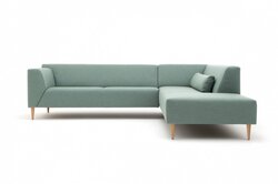 Rolf Benz Linea