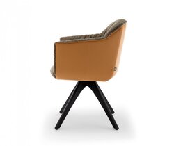 Rolf Benz 641
