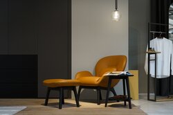 Rolf Benz 910