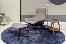 Rolf Benz 910
