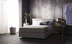 Schramm Purebeds Chill