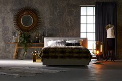 Schramm Purebeds Chill