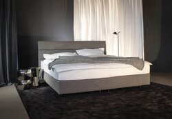 Schramm Purebeds Panel