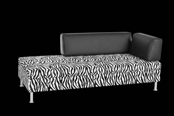 Swissplus Bed for Living Doppio