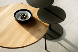 Tribù Branch Coffeetable